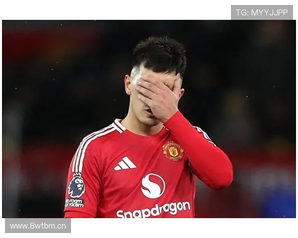 费迪南德称曼联各线默契成型